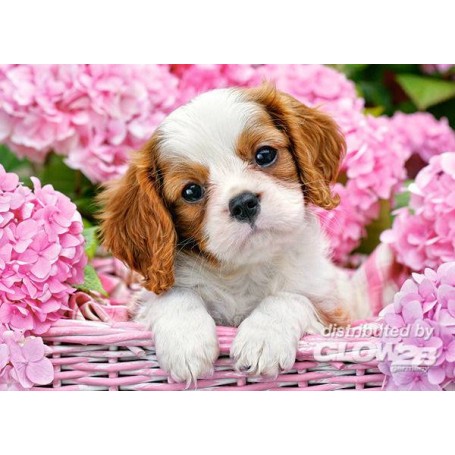 Pup in Pink Flowers, puzzle 180 pieces Jigsaw puzzle