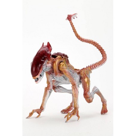 Aliens Figure Panther Alien (Kenner Tribute) 23 cm Action Figure