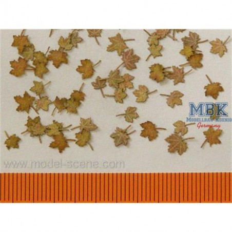 Ahorn extra Farben herbst/ Maple leaves autum 1/35 