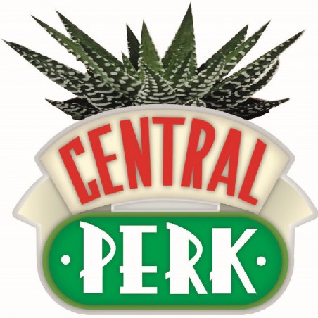Friends: Central Perk Plant Pot