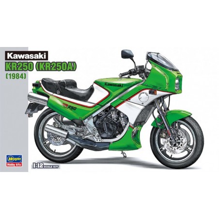 Kawasaki KR250 (KR250A) Model kit