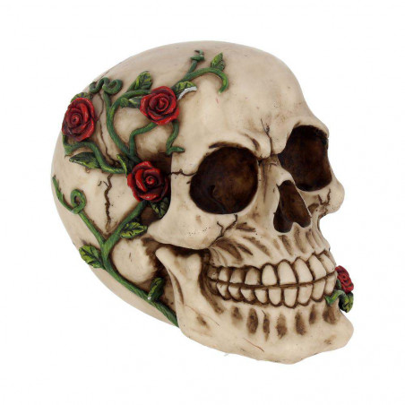 Skull Gothic Rose From Beyond Figurine