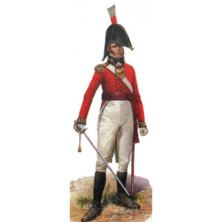 British Command Napoleonic x 24 figures Historical figure